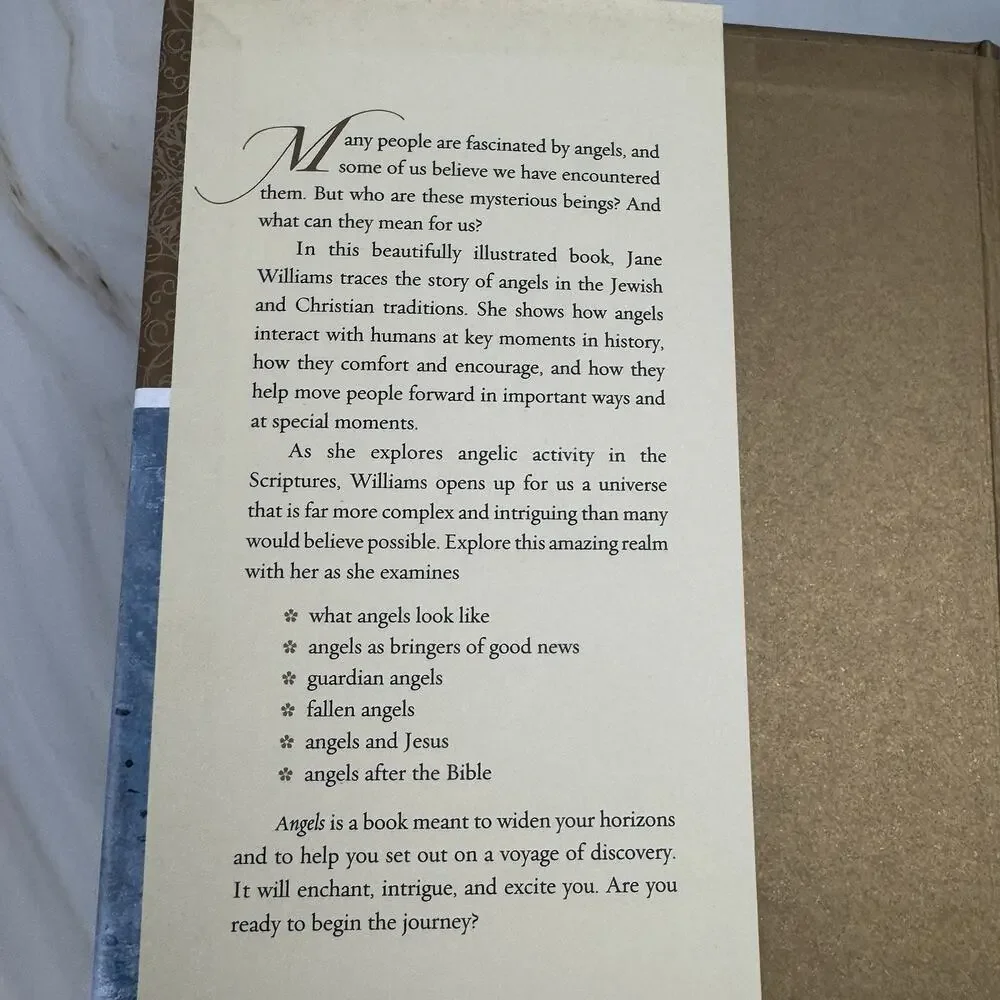 Angels Book Jane Williams Religious Spiritual 2007 Guardians Encounters‎ EUC